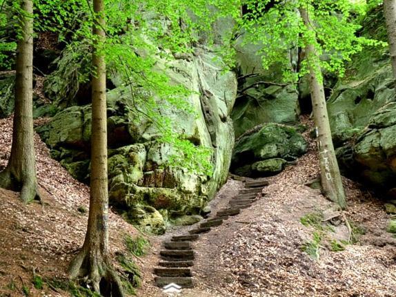 Eifellux Korperich